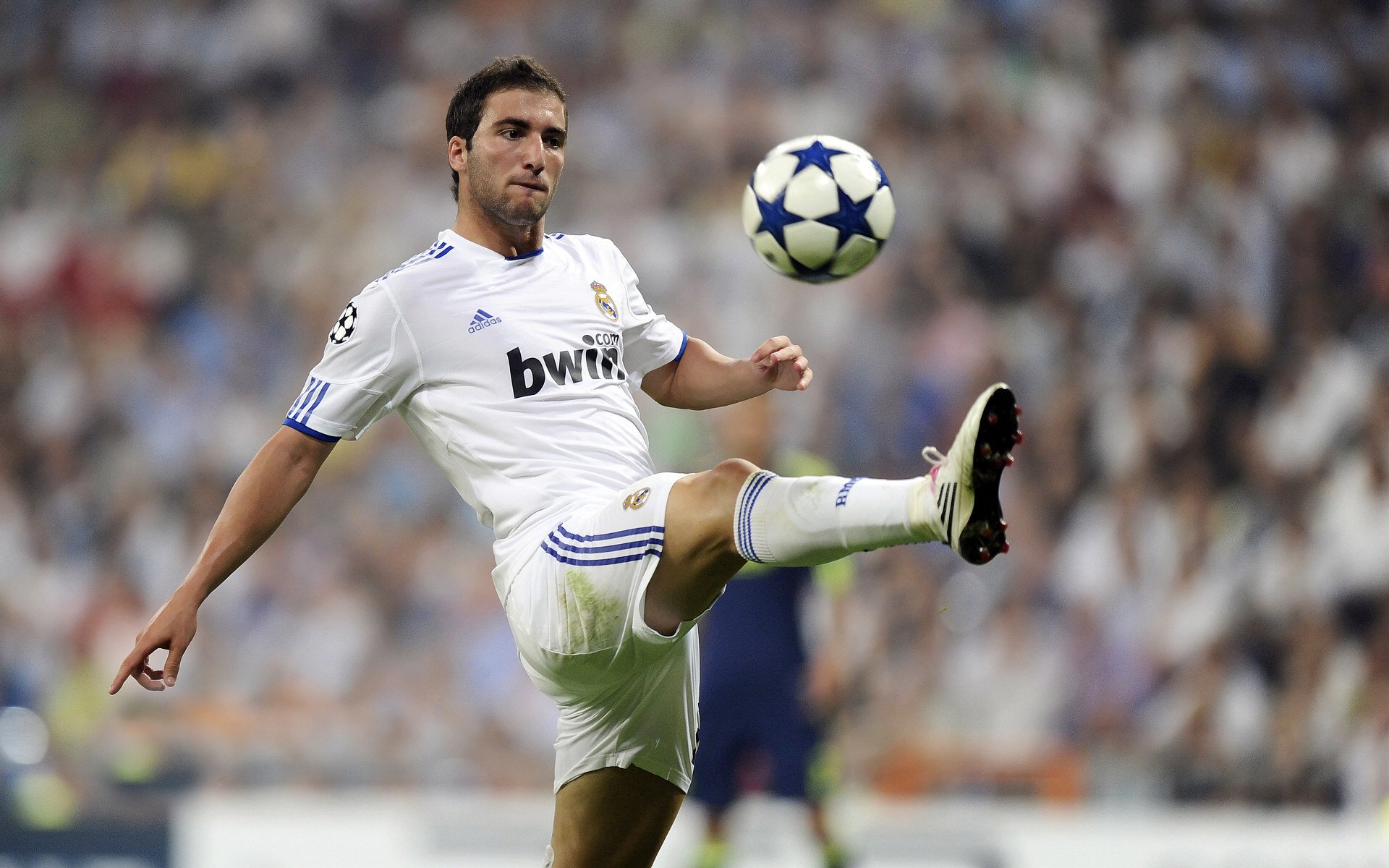 爱游戏-德里赫特一锤定音,荷兰黄金时代在嘘声中落幕